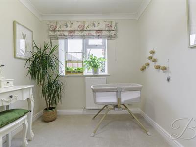 Picture 23